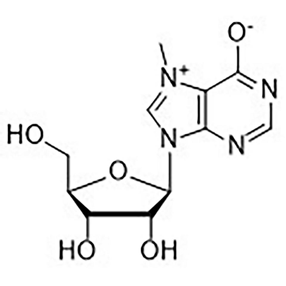 7-Methylinosine